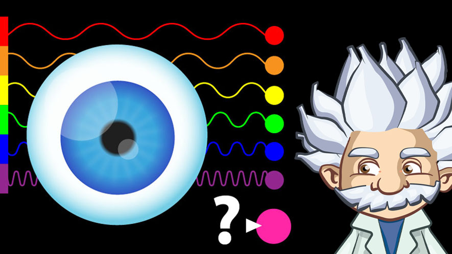 La vision des couleurs